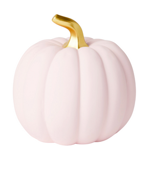 Blush Pink & Gold Stem Pumpkin